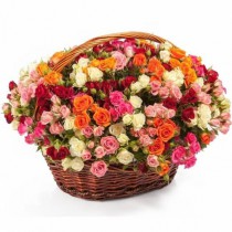 101 spray roses in a basket