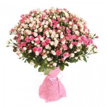 Bouquet of 101 cream and pink spray roses